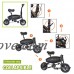 InnoWin Kingsports Mini Foldable Electric Bike/Bicycle with 250W Brushless Motor - B07G3JVM8Q
